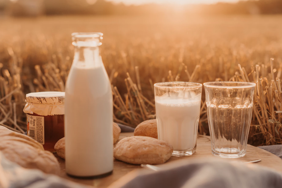 c'est quoi le lactose ?