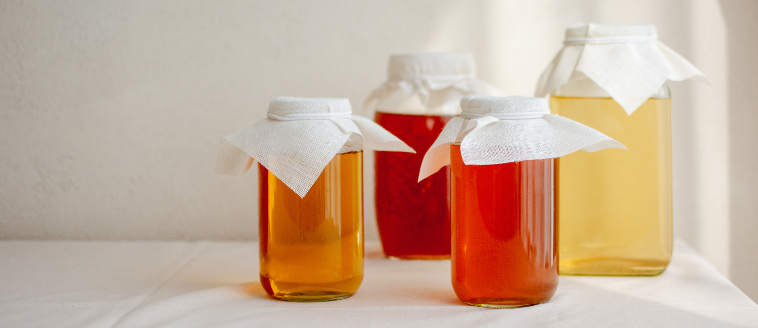 Comment faire son kombucha thé fermenté à la maison