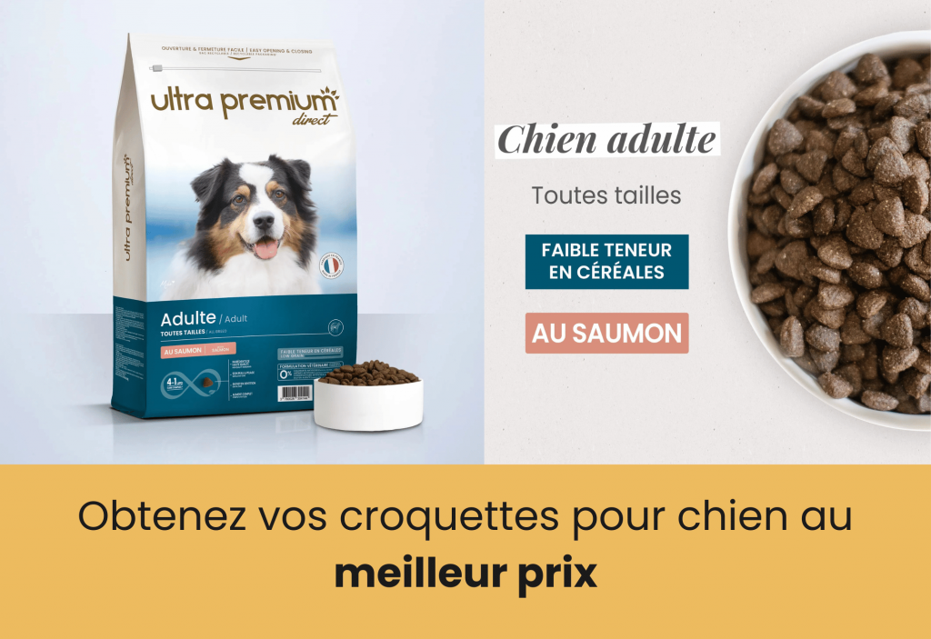 Meilleures croquettes au saumon pour chien ultra premium direct