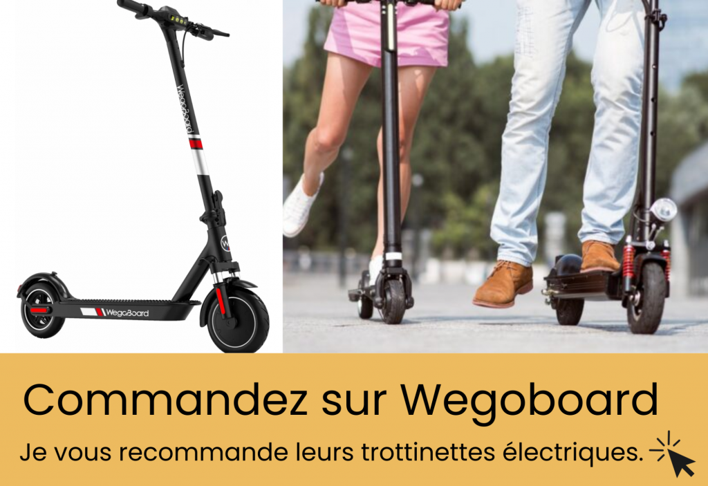 WegoBoard Avis
