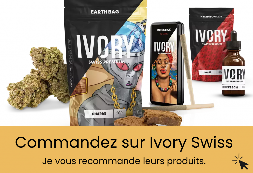 Avis Ivory Swiss