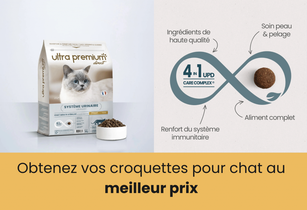 meilleur croquette pour chat probleme urinaire