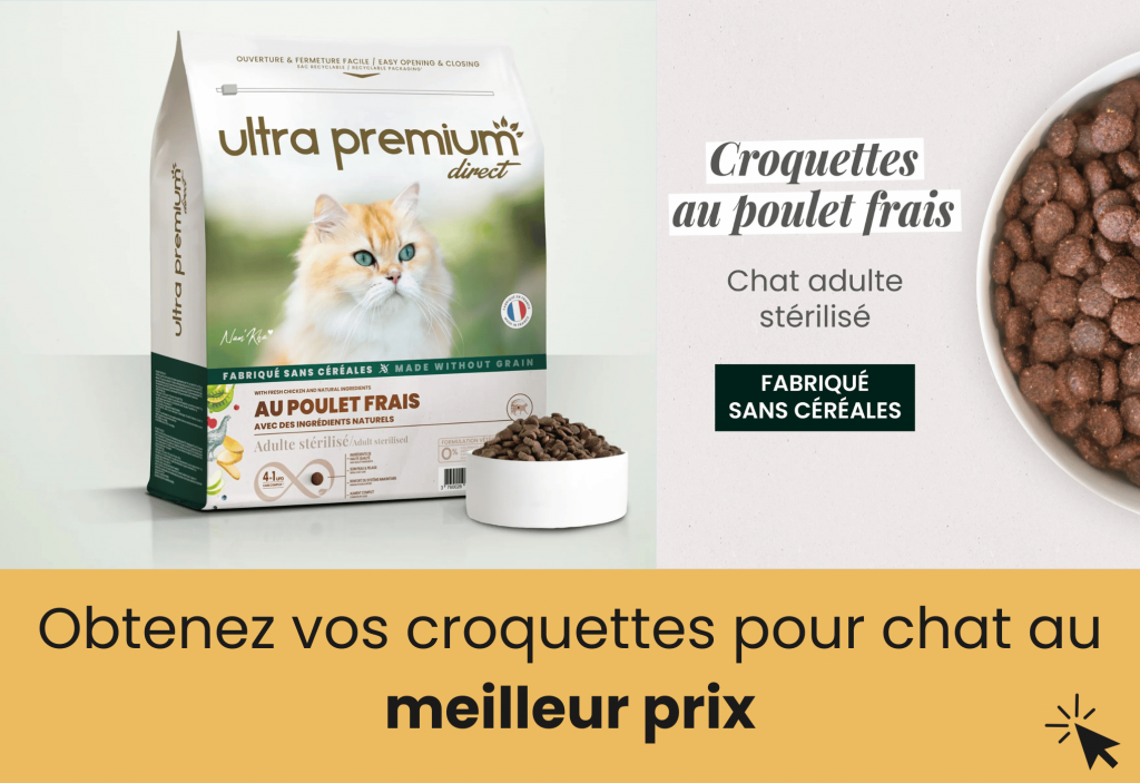 meilleure croquettes chat stérilisé