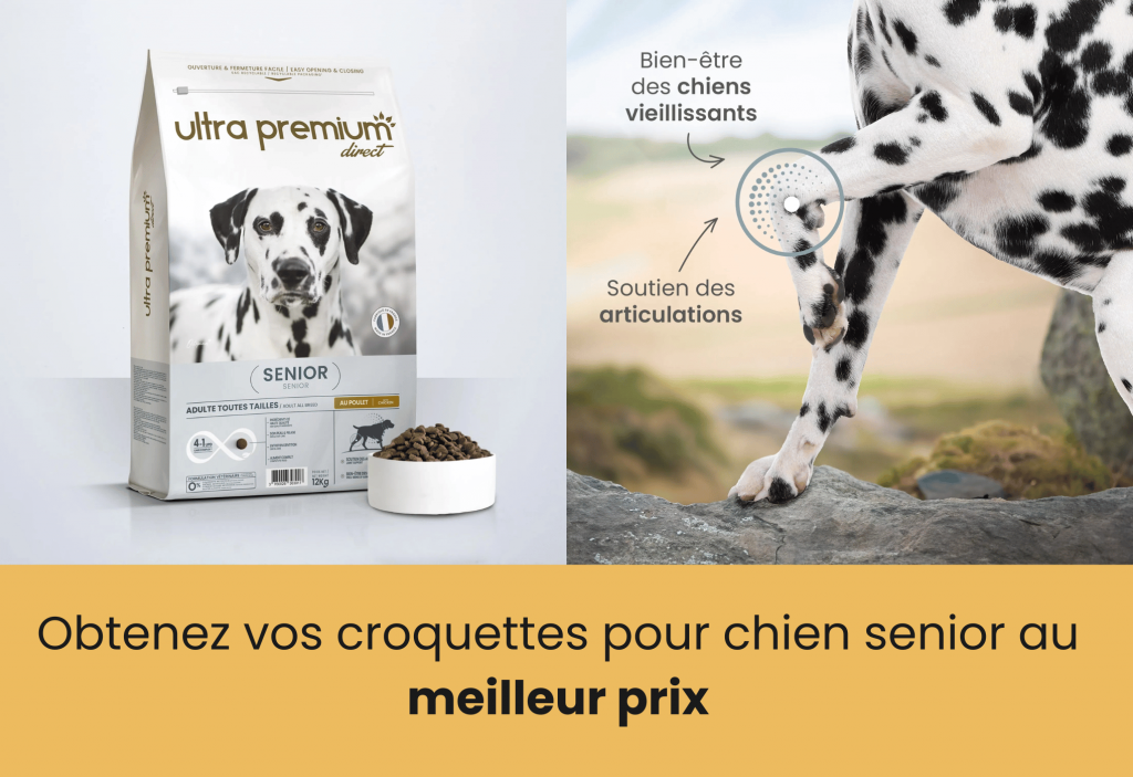meilleur croquette chien senior ultra premium direct