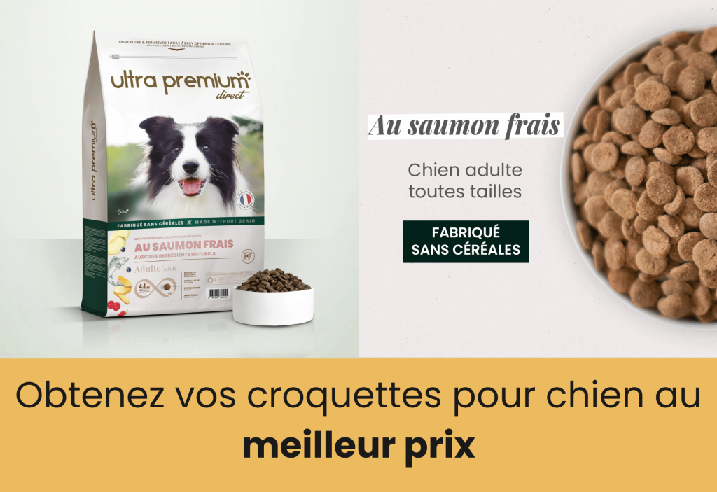 meilleure croquette française pour chien ultra premium direct