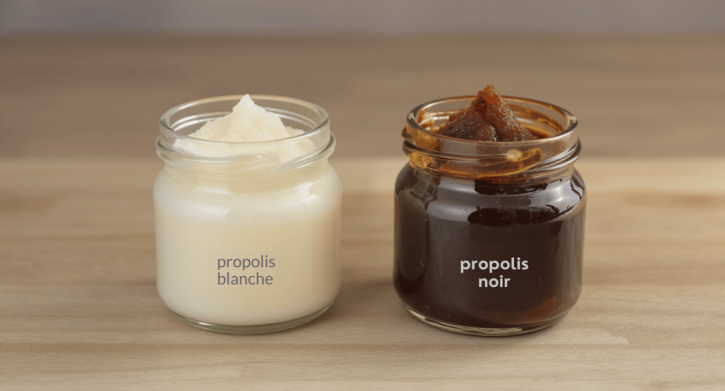 Quelle est la différence entre la propolis blanche et la propolis noire