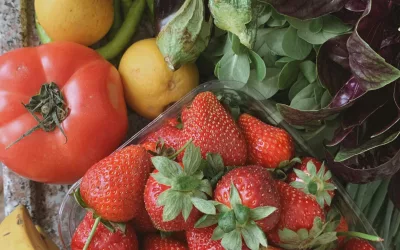 Polyphénols et antioxydants alimentaires : freiner l’inflammation, gagner en santé