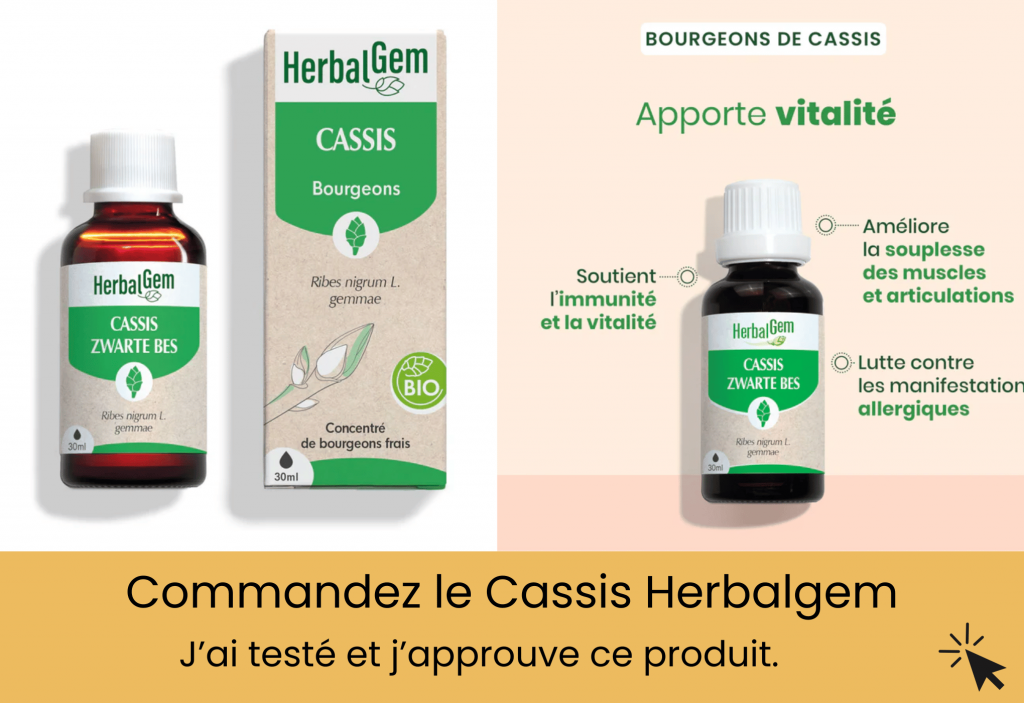 le bourgeon de cassis bio herbalgem