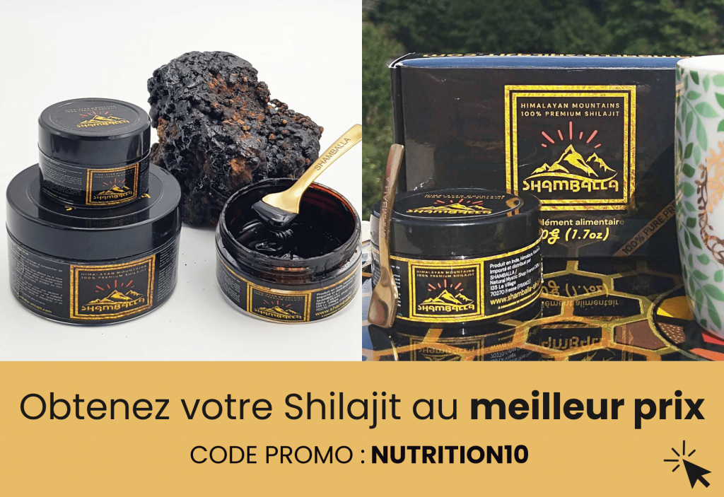 meilleur shilajit shamballa shilajit