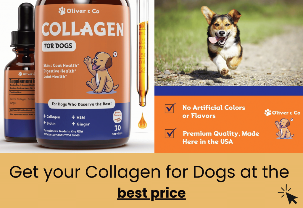 Oliver & Co best collagen for dogs