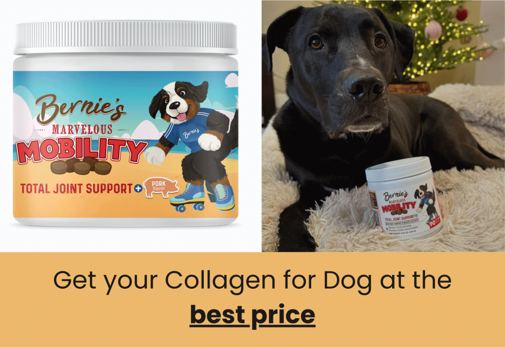 best collagen for dogs by bernie's