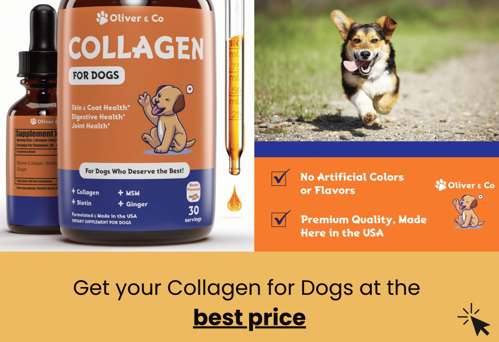 best collagen for dogs oliver & co