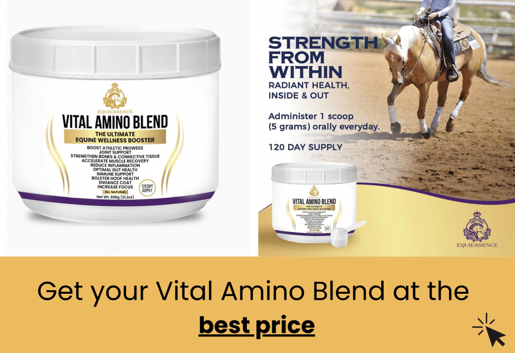 best vital amino blend equiessence