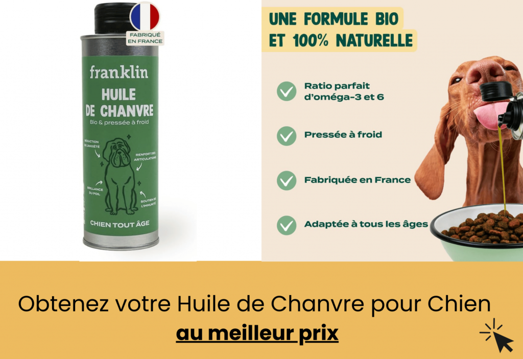 meilleure huile de chanvre pour chien franklin