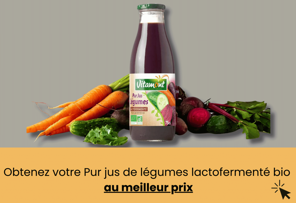 meilleur pur jus de légumes lactofermenté greenweez