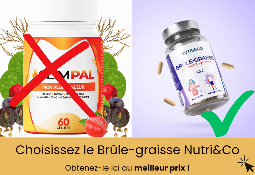 alternative slimpal bruleur de graisse