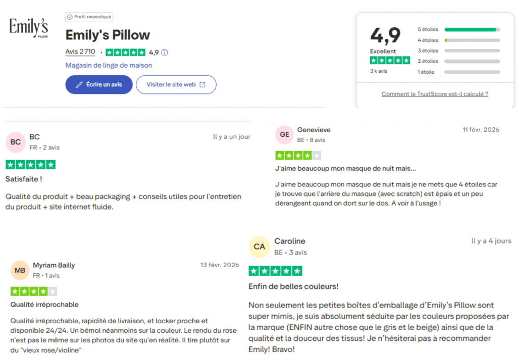 avis des clients sur emily's pillow