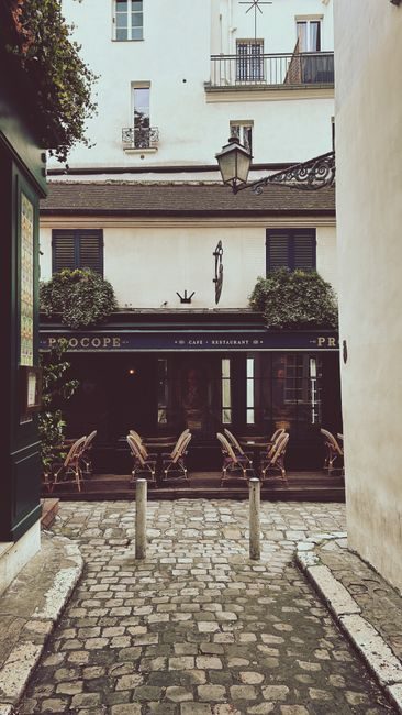 Bien Choisir Son Repas dans une Brasserie Parisienne Bien Choisir Son Repas dans une Brasserie Parisienne – consultation nutritionniste
