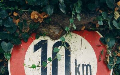 nutrition course 10 km
