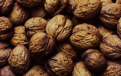 Les aliments qui protègent le cerveau