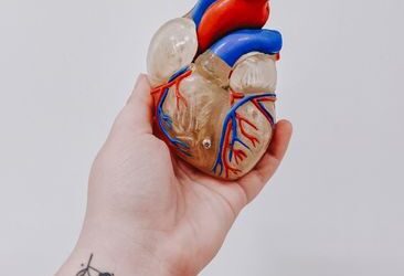 Prévenir les maladies cardiovasculaires